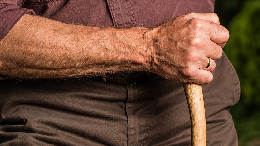 Учёные выяснили, какие черты характера свойственны долгожителям 