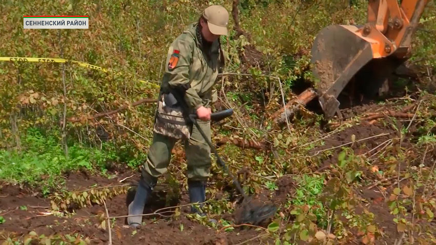 В Сенненском районе идут поисковые работы запчастей советского самолёта Петляков-2