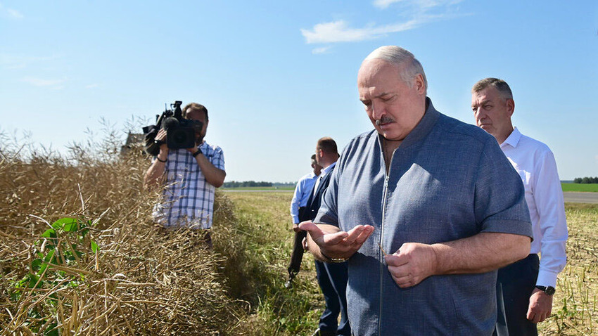 Президент проинспектировал ход жатвы в Минском районе