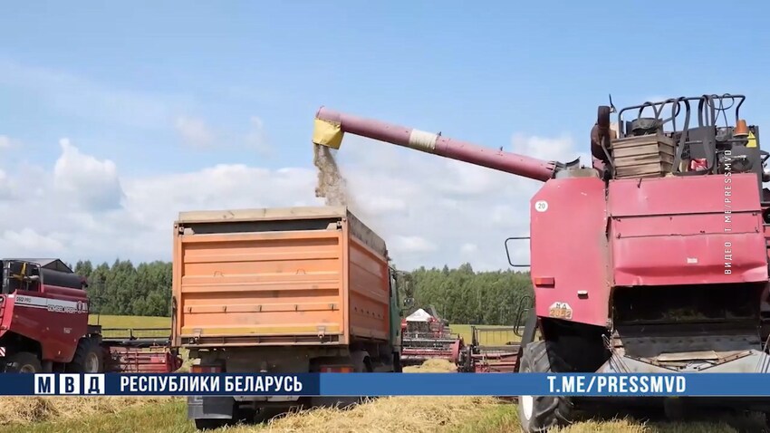 Солнечная и теплая погода последних дней позволила хлеборобам вновь выйти на оптимальные темпы работы