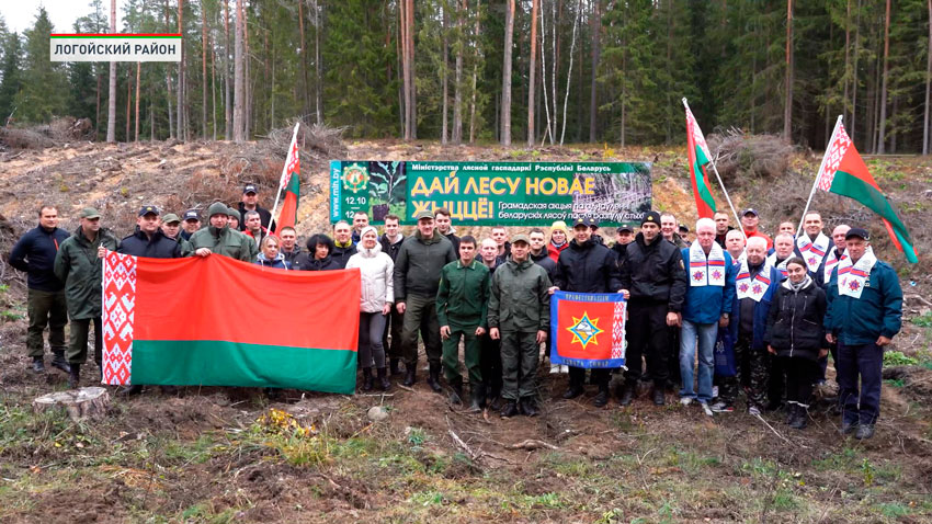 К акции «Дай лесу новае жыццё!» присоединились сотрудники МЧС