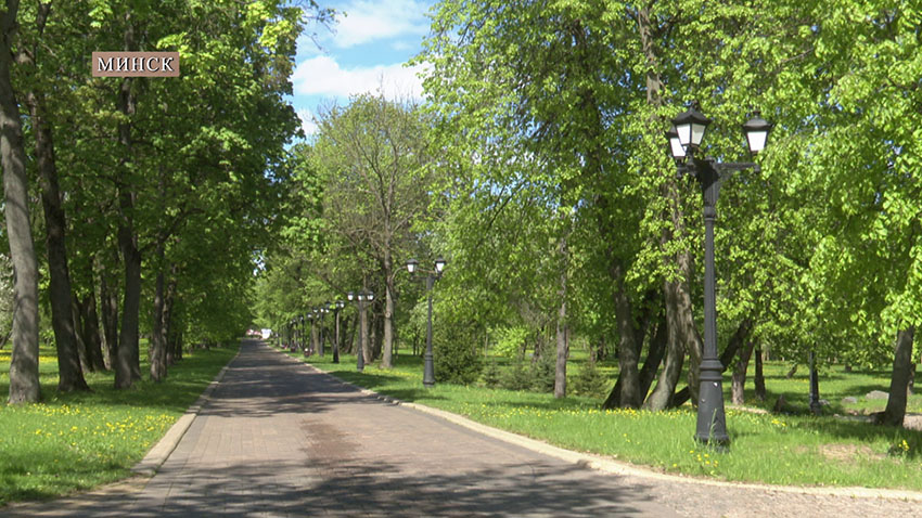 МВД
