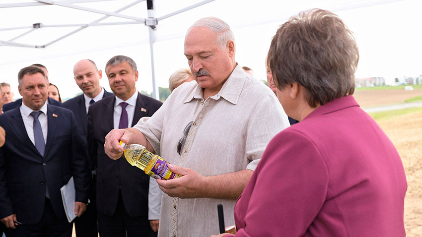 Рапс