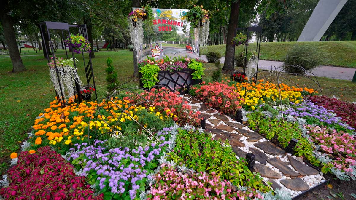 Новый бассейн, обновлённая школа и памятник креветке – как Белоозёрск готовят к «Дожинкам»