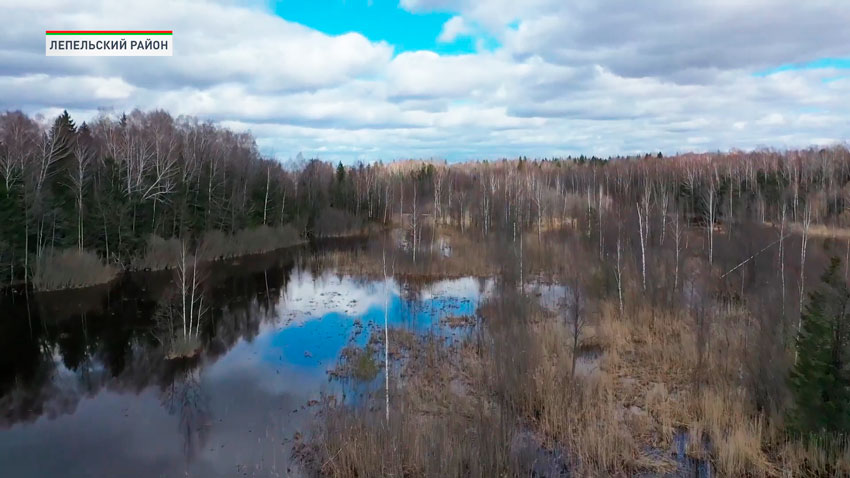 Лукашенко посещает с рабочей поездкой Лепельский район Витебской области