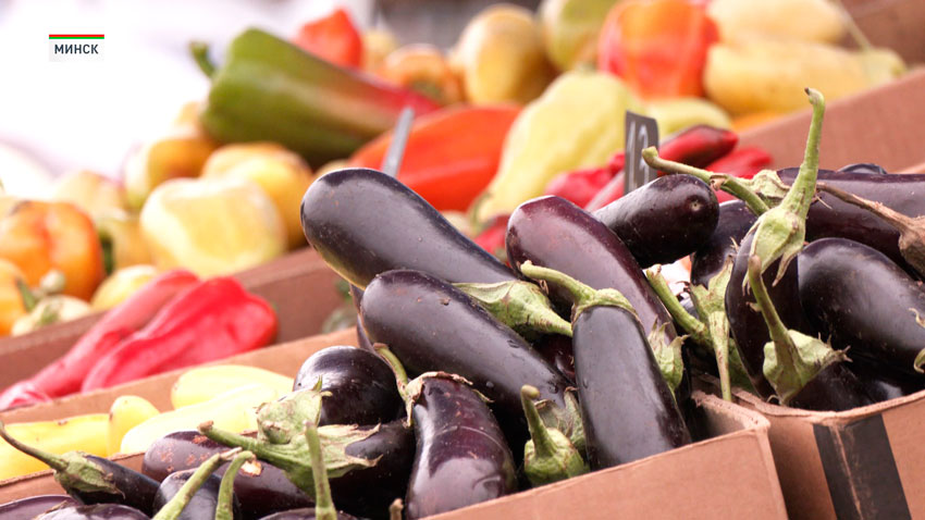 В Беларуси проходит сезон сельскохозяйственных ярмарок