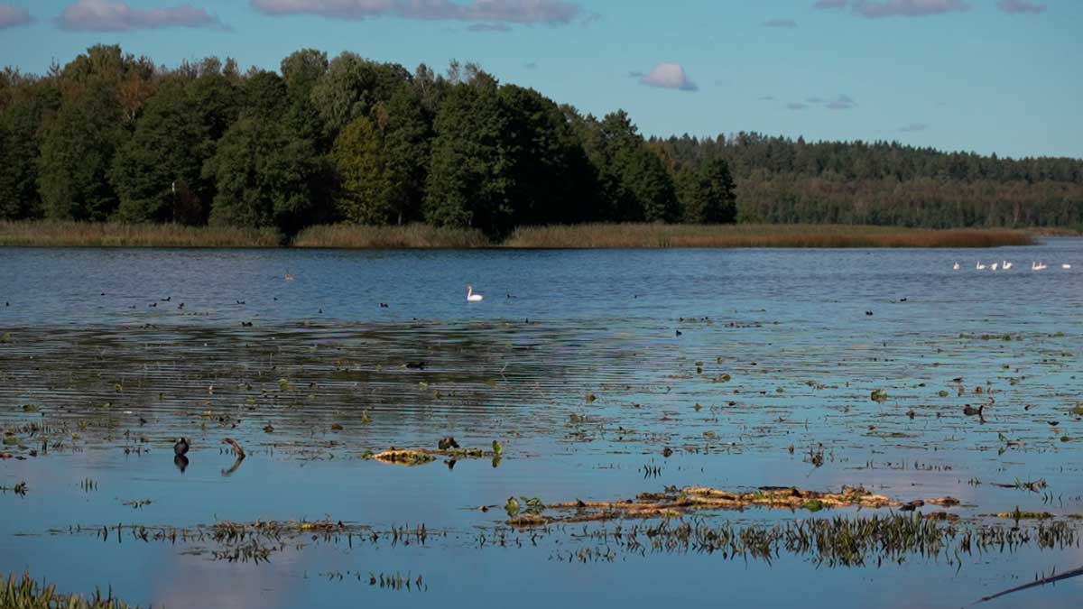  Сапропель из Жеринского озера превратили в источник удобрений и косметики