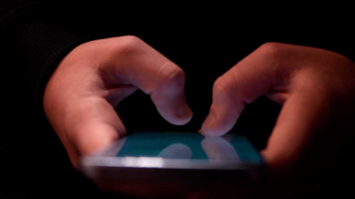 Белорусские милиционеры задержали 17-летнего хакера, который похищал данные пользователей