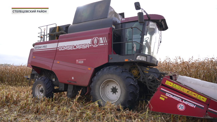 Свыше 9,9 млн тонн зерна с рапсом и кукурузой намолочено в Беларуси