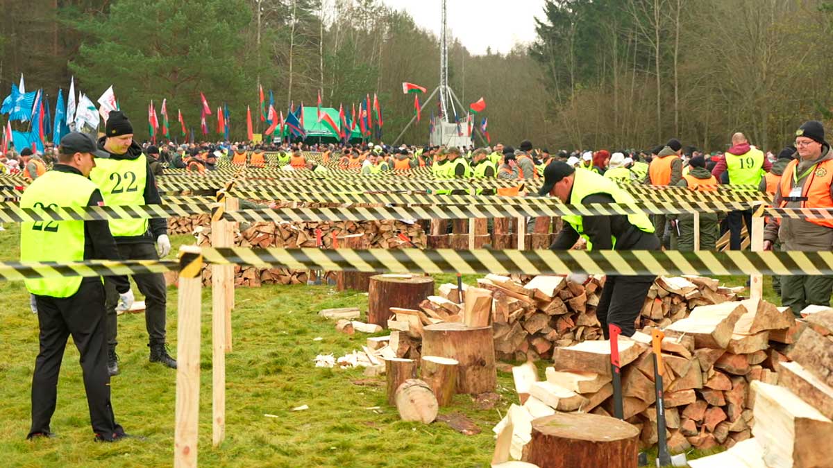 Чемпионат по колке дров среди журналистов – как прошло громкое осеннее соревнование