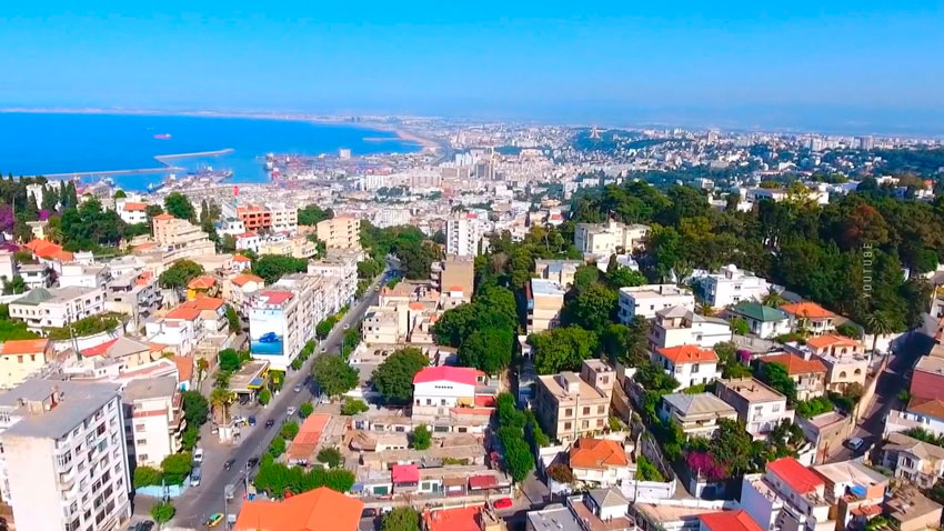 Визит делегации Беларуси в Алжир для практической отработки дальнейшего взаимодействия начинается