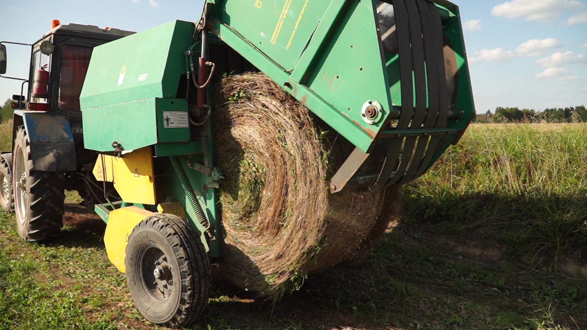 В ЕАЭС заработает механизм поддержки кооперационных проектов в АПК