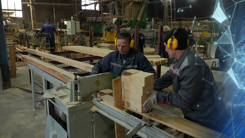 Реализовать почти полсотни инвестпроектов в сфере деревообработки планируется в Беларуси в ближайшие пять лет