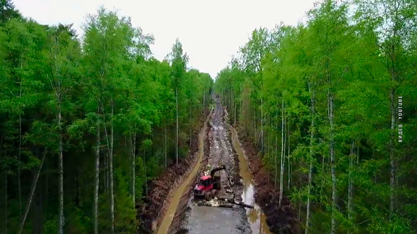 Лесные дороги