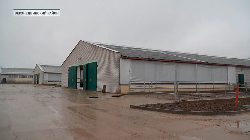 В Витебской области открылся новый молочно-товарный комплекс