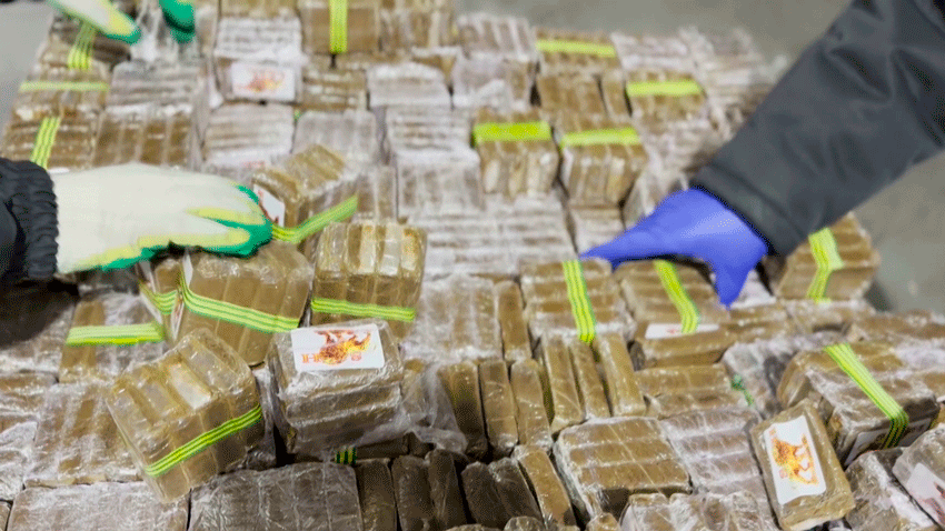 Фура с гашишем и мефедроном из Польши задержана в Беларуси