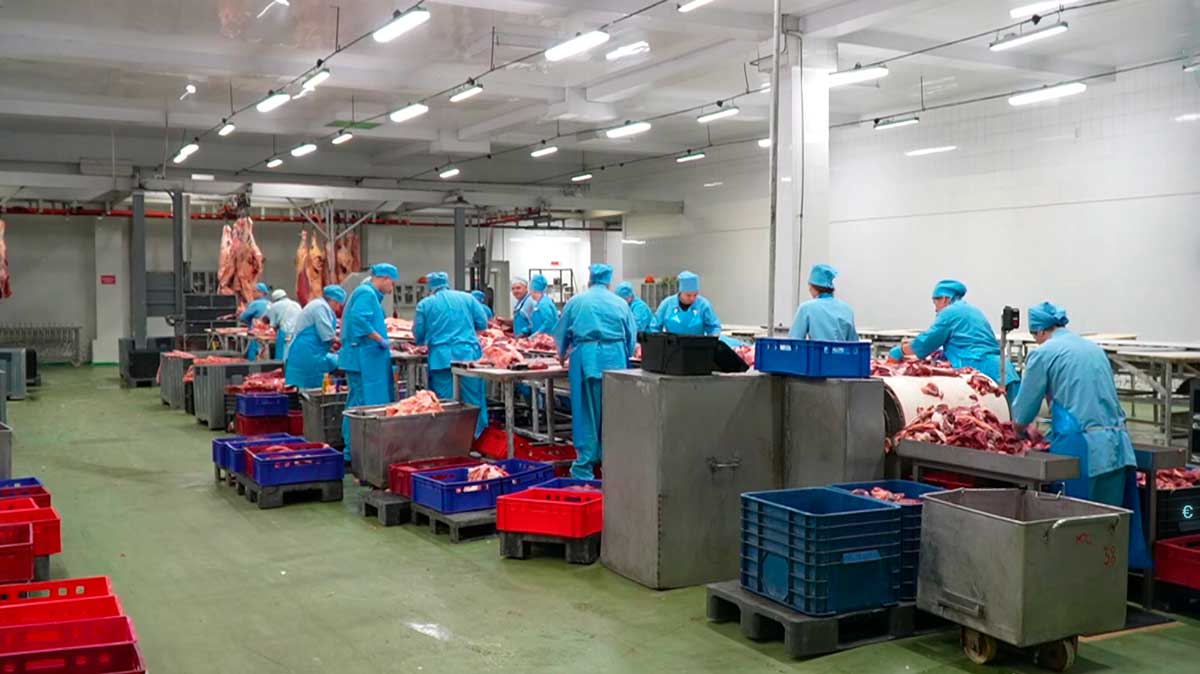 За 2025 год биржевой экспорт мяса и мясопродуктов вырос более чем в 3 раза