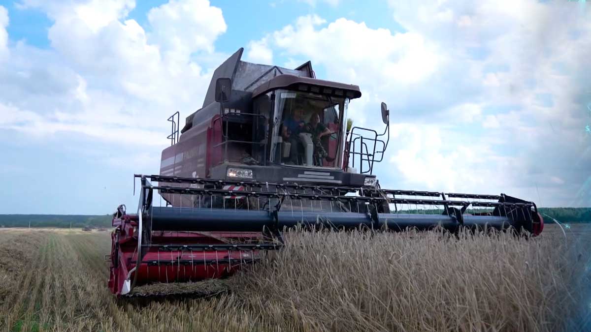 Белстат подвёл итоги уборочной кампании в хозяйствах всех категорий