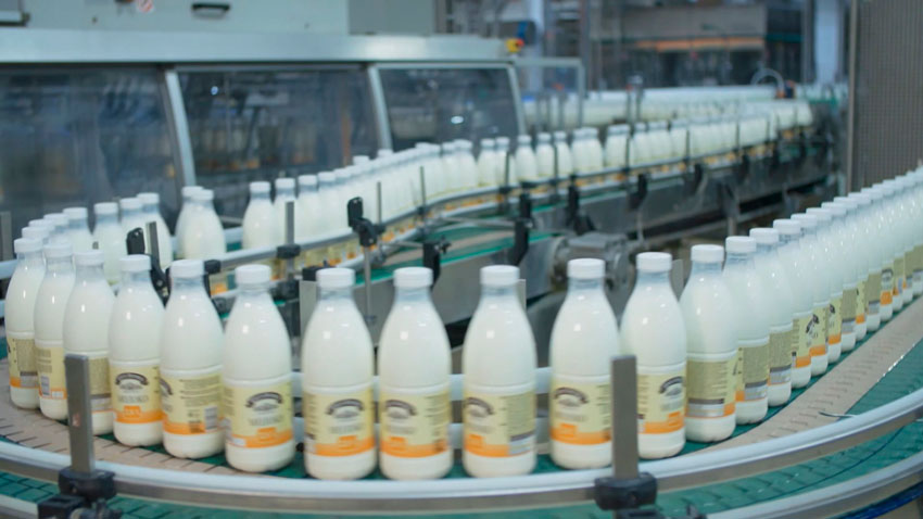 Беларусь в 2025 году установила рекорд по экспорту продовольствия – он достиг 10 млрд долларов