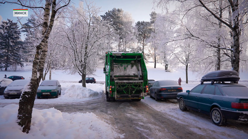 В Минске действует акция по утилизации новогодних деревьев