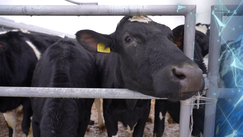 В Беларуси утверждена государственная программа «АПК будущего» на ближайшие пять лет
