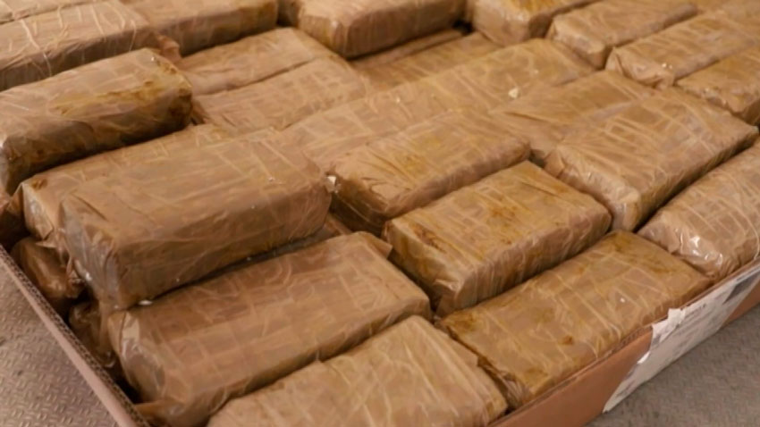 154 килограмма психотропа – белорусские таможенники пресекли крупный канал контрабанды