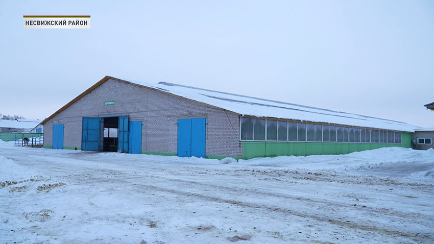 молочно-товарные комплексы