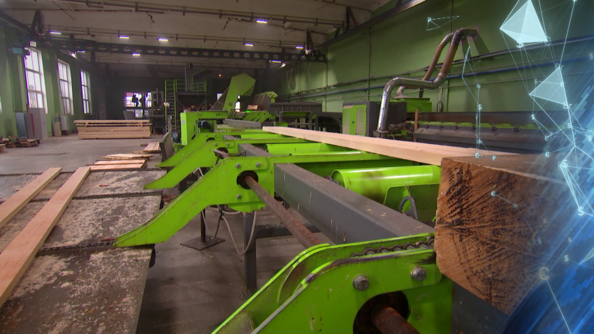 Беларусь нарастила объем поставок пиломатериалов в Объединенные Арабские Эмираты в денежном эквиваленте в три раза