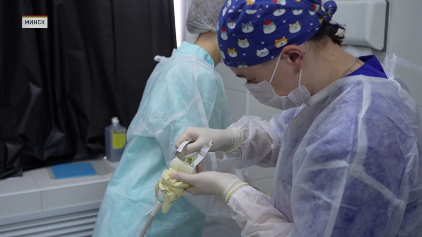 Республиканскую олимпиаду по топографической анатомии и оперативной хирургии впервые провели в Белорусском государственном медуниверситете