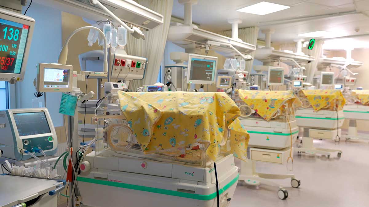 В Беларуси станет доступна 2-я бесплатная попытка ЭКО – какие еще инновации появятся у белорусок