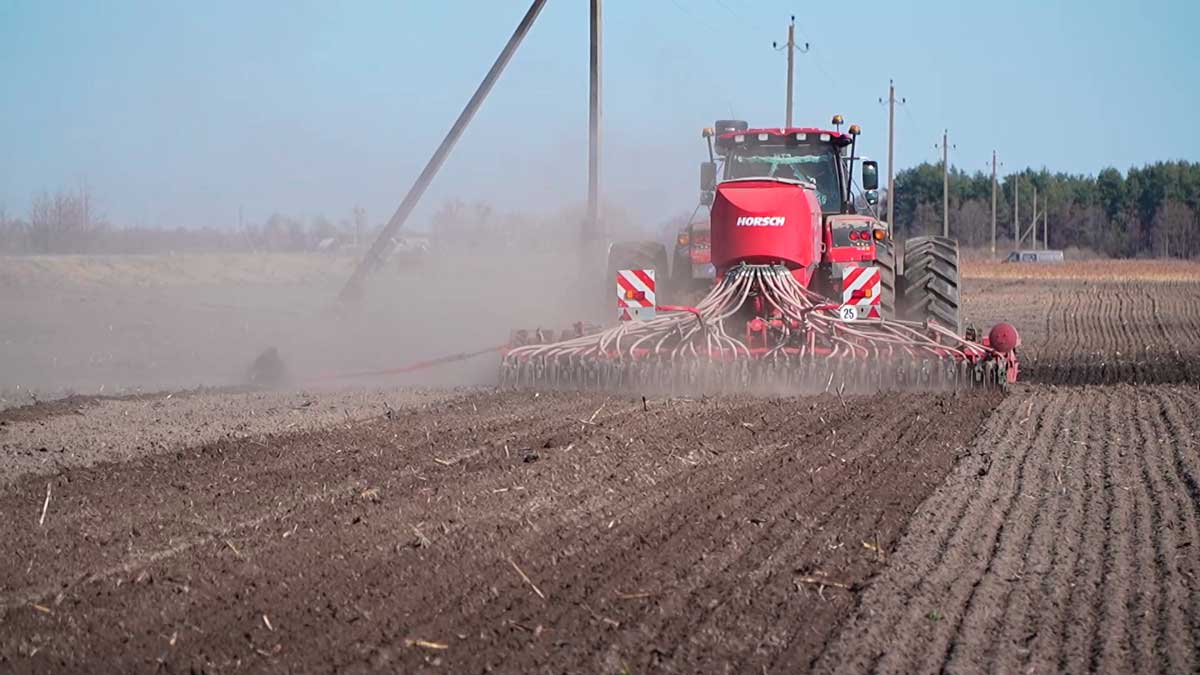 В Гомельской области приступили к севу ранних яровых
