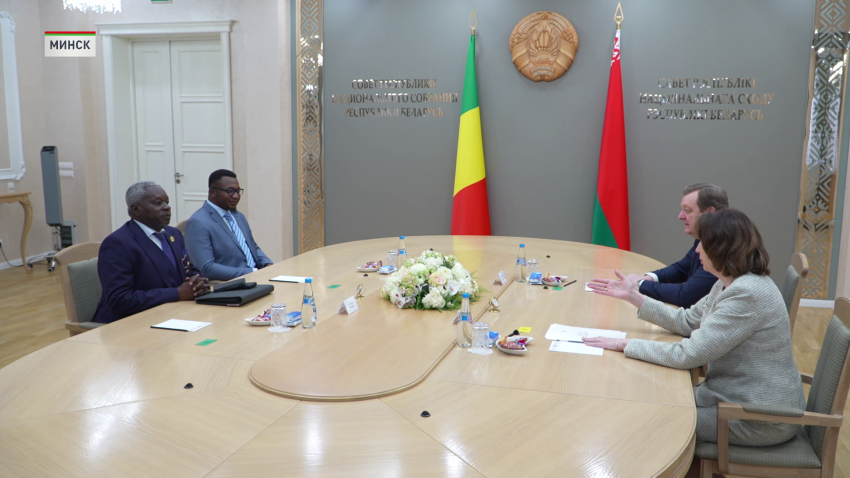 Развитие сотрудничества с Мали 5 марта обсудили в Совете Республики