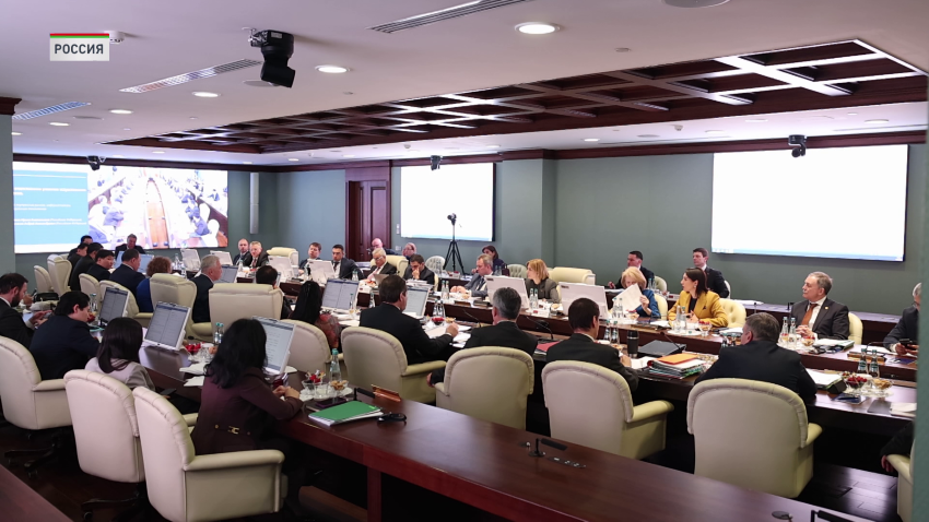 Госзакупки, таможенный контроль, защита рынка: Петкевич приняла участие в заседании Совета ЕЭК