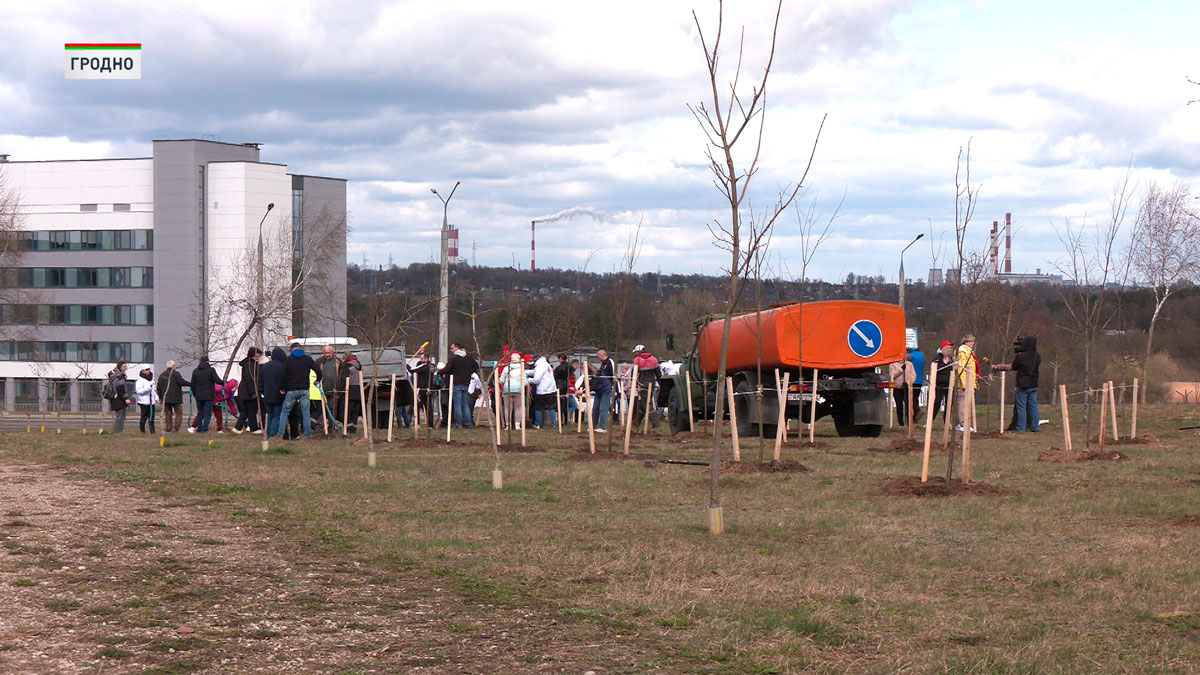 В Гродно высадили аллею в честь Года белорусской женщины