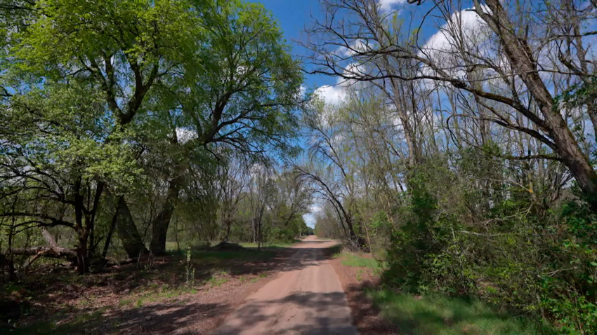 Доля загрязненных территорий в Беларуси после аварии на ЧАЭС сократилась до 12%