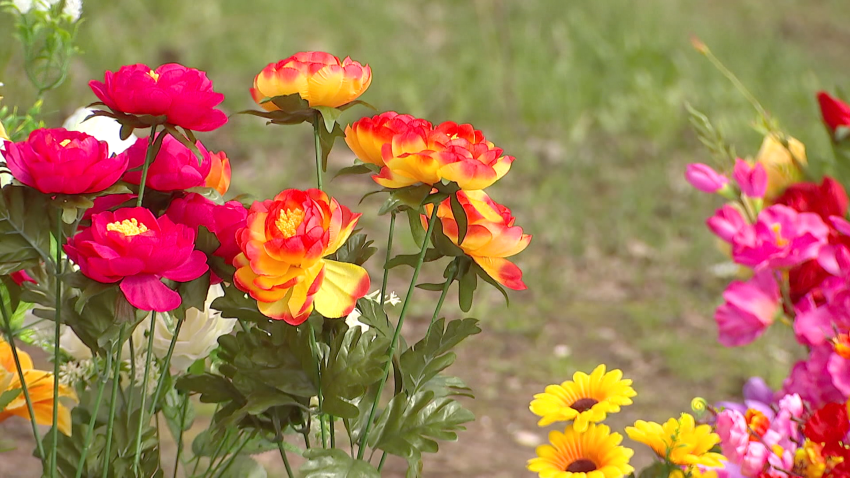 Минприроды готовит проект нового Экокодекса