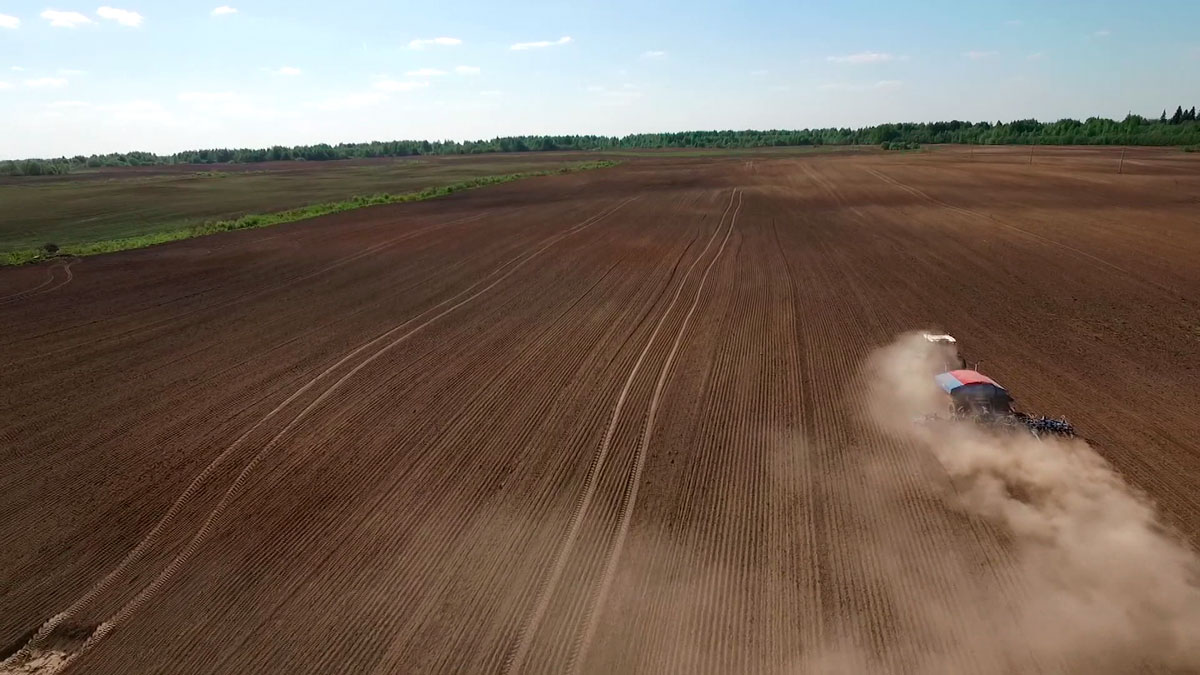 В сельхозоборот введено более 21 тыс. гектаров земель, пострадавших от аварии на ЧАЭС