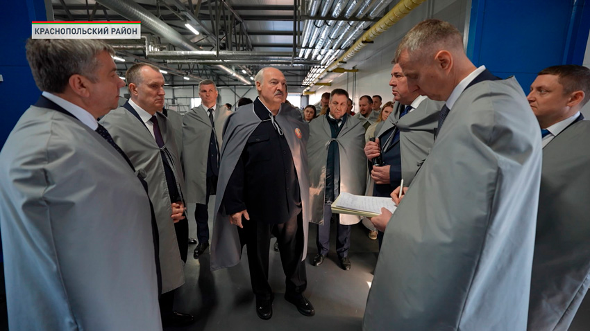 Надо тиражироваться! – Лукашенко посетил рыбоводное хозяйство «Палуж» в Краснопольском районе