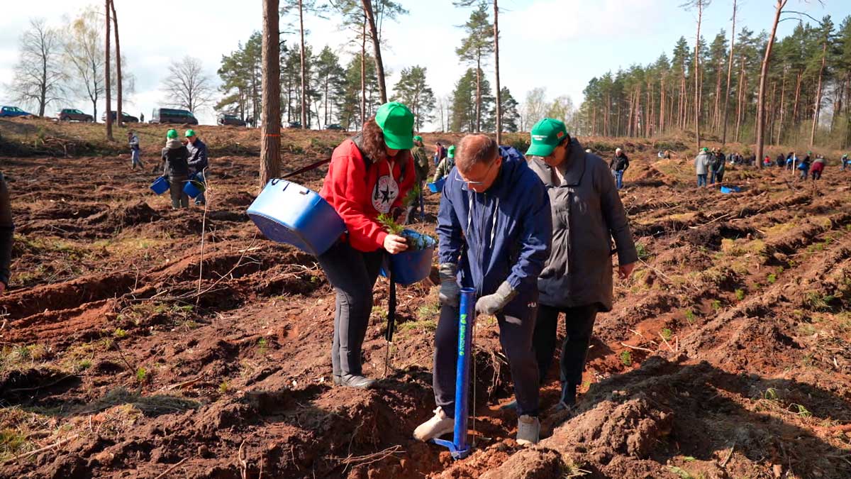 Трудиться на благо страны – в республиканском субботнике приняли участие больше 2 млн человек