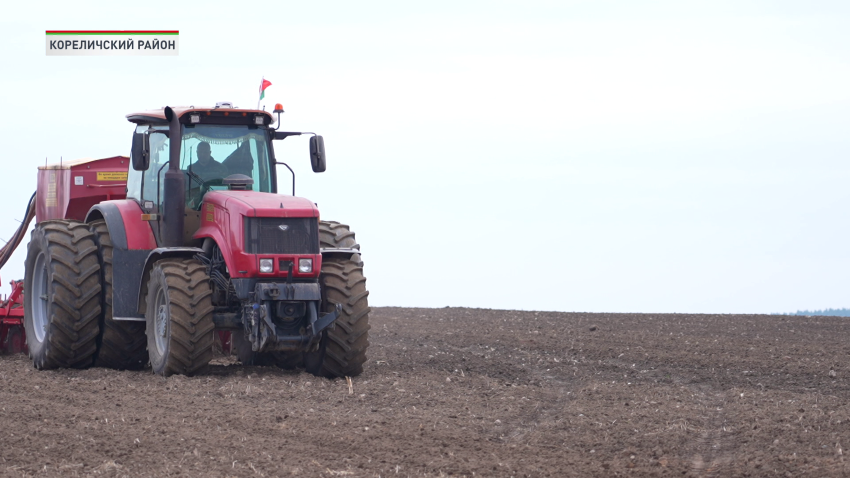 В Беларуси к севу льна-долгунца приступили все регионы