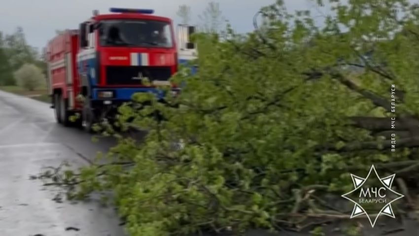 Последствия сильного ветра в Беларуси: повреждены здания, пострадавших нет