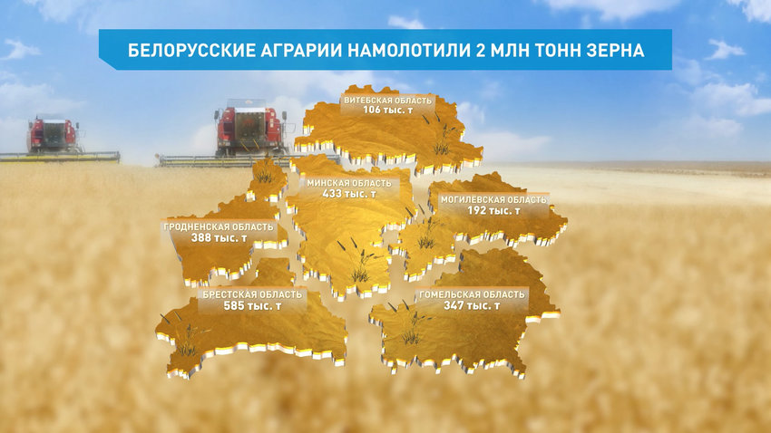 В Беларуси намолочено 2 млн тонн зерна