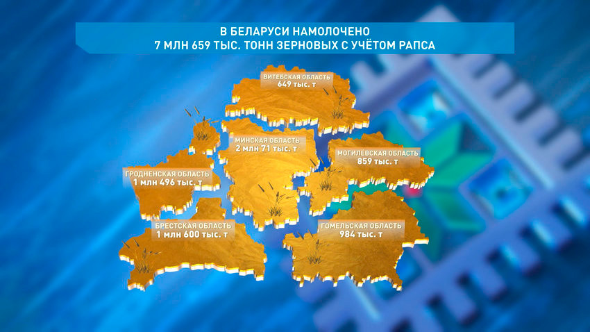 Белорусские аграрии намолотили 7 млн 650 тысяч т зерна с учетом рапса