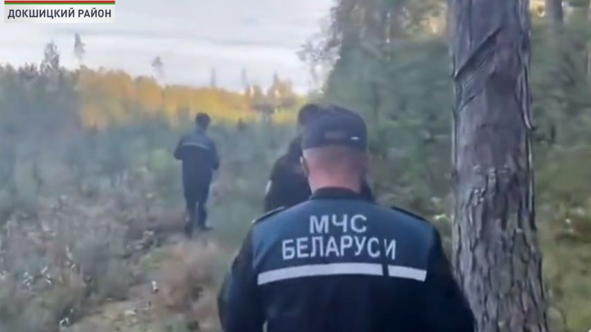 За сутки в лесах Витебщины спасатели нашли четверых заблудившихся грибников