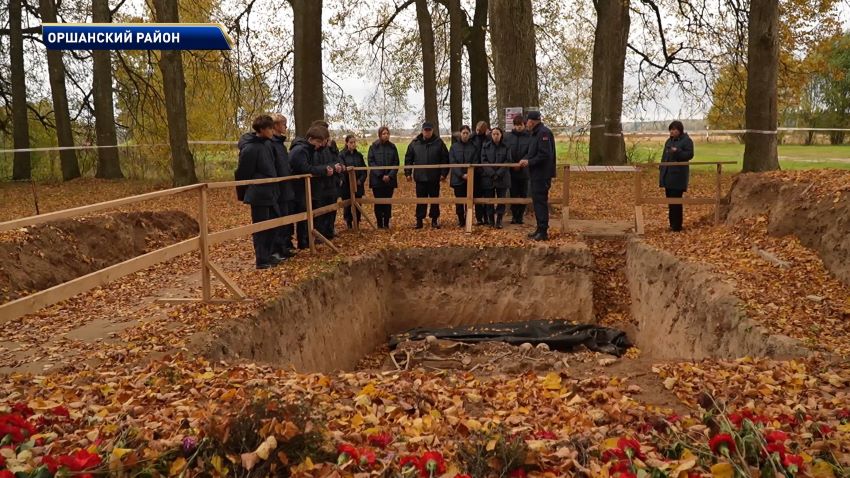 Массовое захоронение жертв Великой Отечественной войны найдено в Оршанском районе