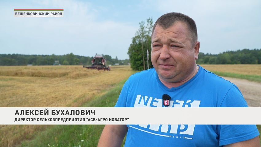 Белорусский каравай растет: собрано более 4 млн тонн зерна
