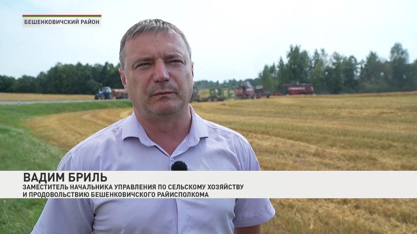 Белорусский каравай растет: собрано более 4 млн тонн зерна