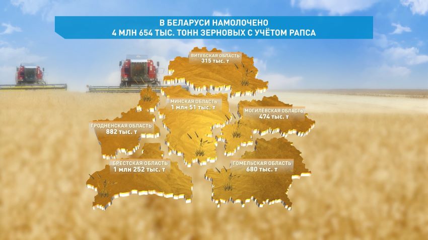 Общий намолот зерна в Беларуси перешагнул отметку в 4,5 млн тонн