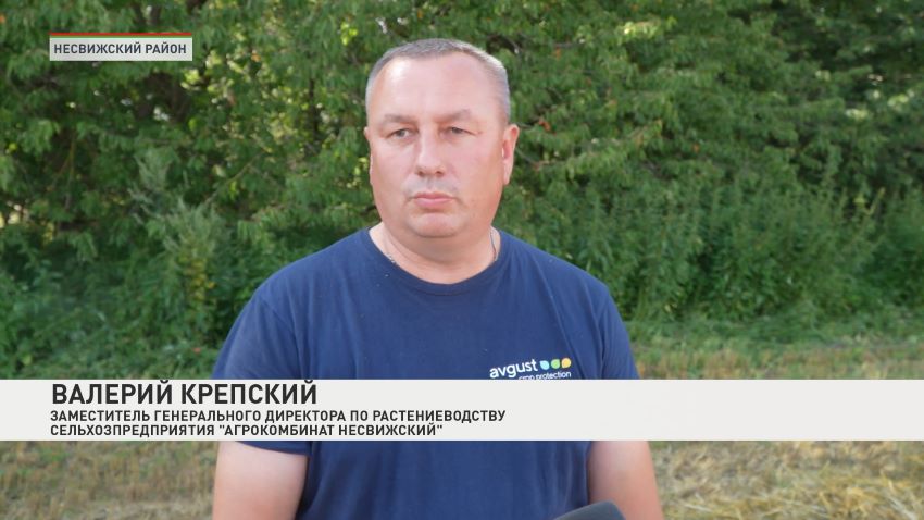 Аграрии Несвижского района первыми  на Минщине намолотили 100 тысяч тонн зерна