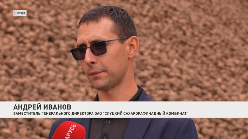 От поля до прилавка | Как на Слуцком сахарорафинадном комбинате варят «белое золото» 